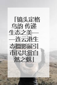 镜头定格鸟韵 传递生态之美——连云港生态摄影展引市民共赏自然之魅